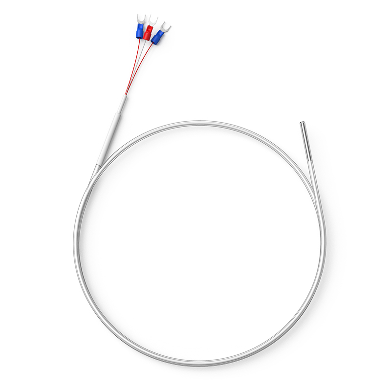 鐵氟龍熱電阻12_http://m.hxdz8.cn_溫度儀表_第1張