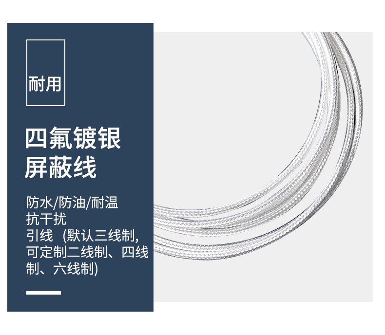 端面熱電阻6_http://m.hxdz8.cn_溫度儀表_第11張