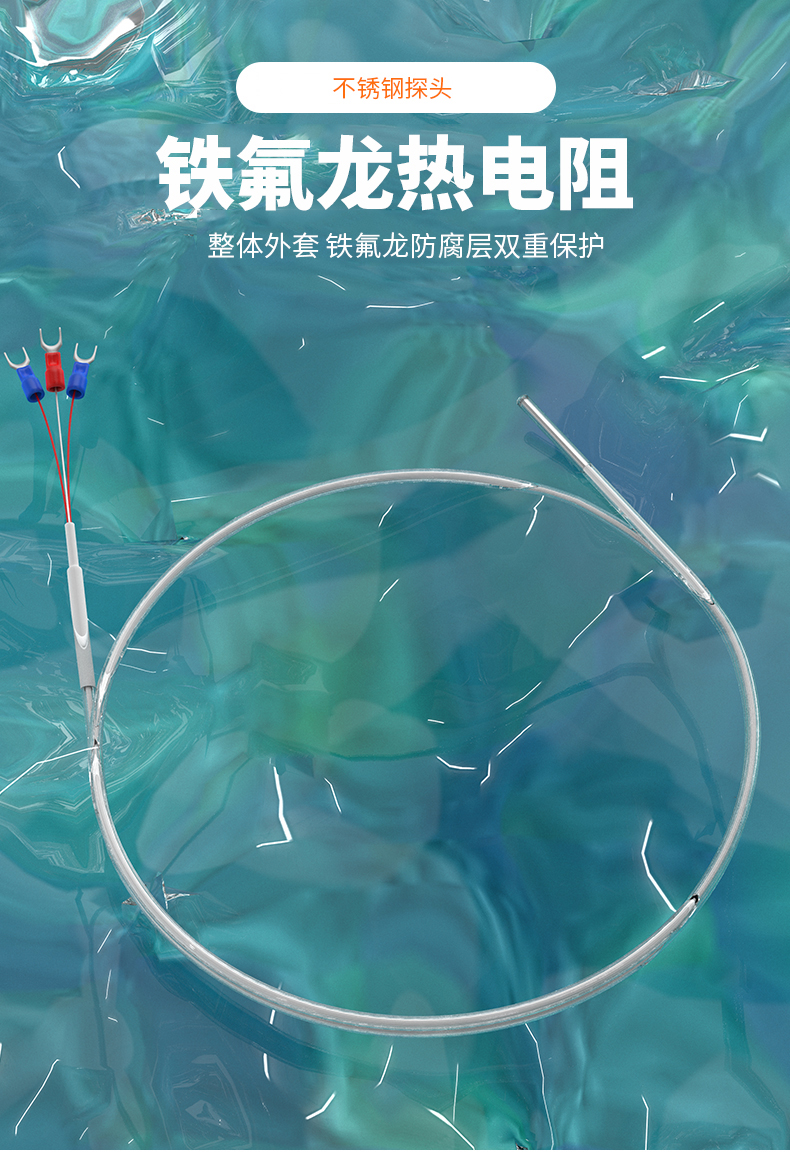 鐵氟龍熱電阻12_http://m.hxdz8.cn_溫度儀表_第4張