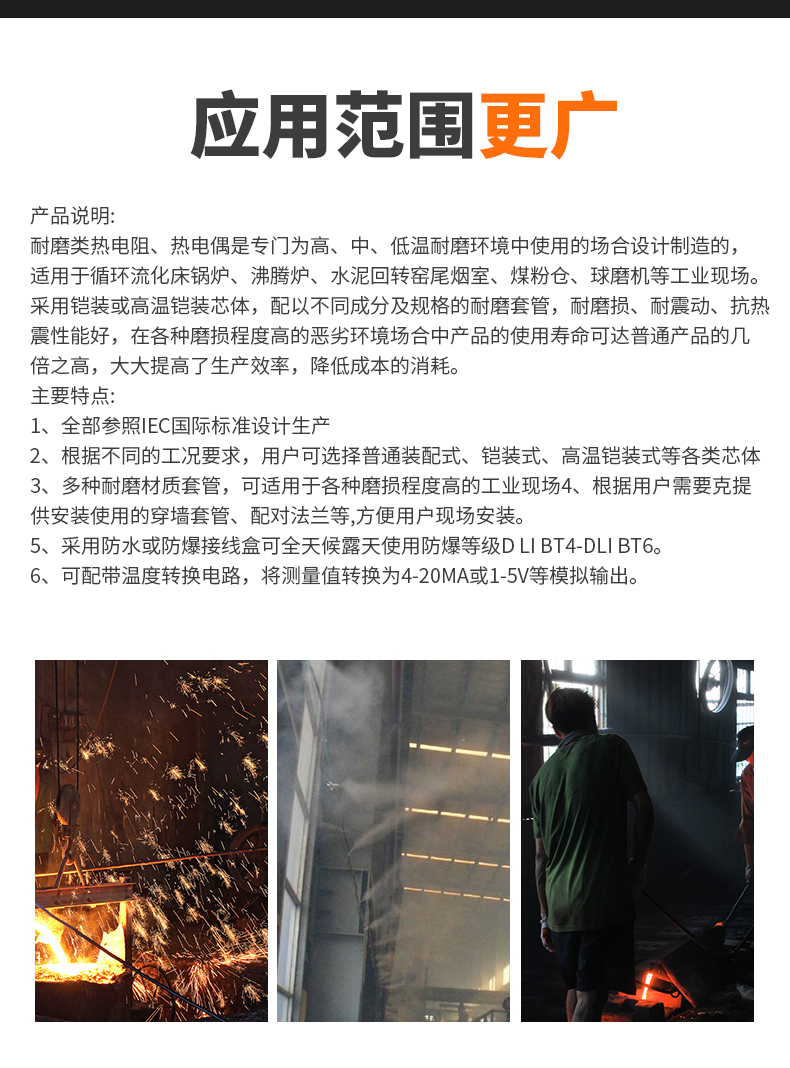 WRNM-131耐磨熱電偶15_http://m.hxdz8.cn_溫度儀表_第6張